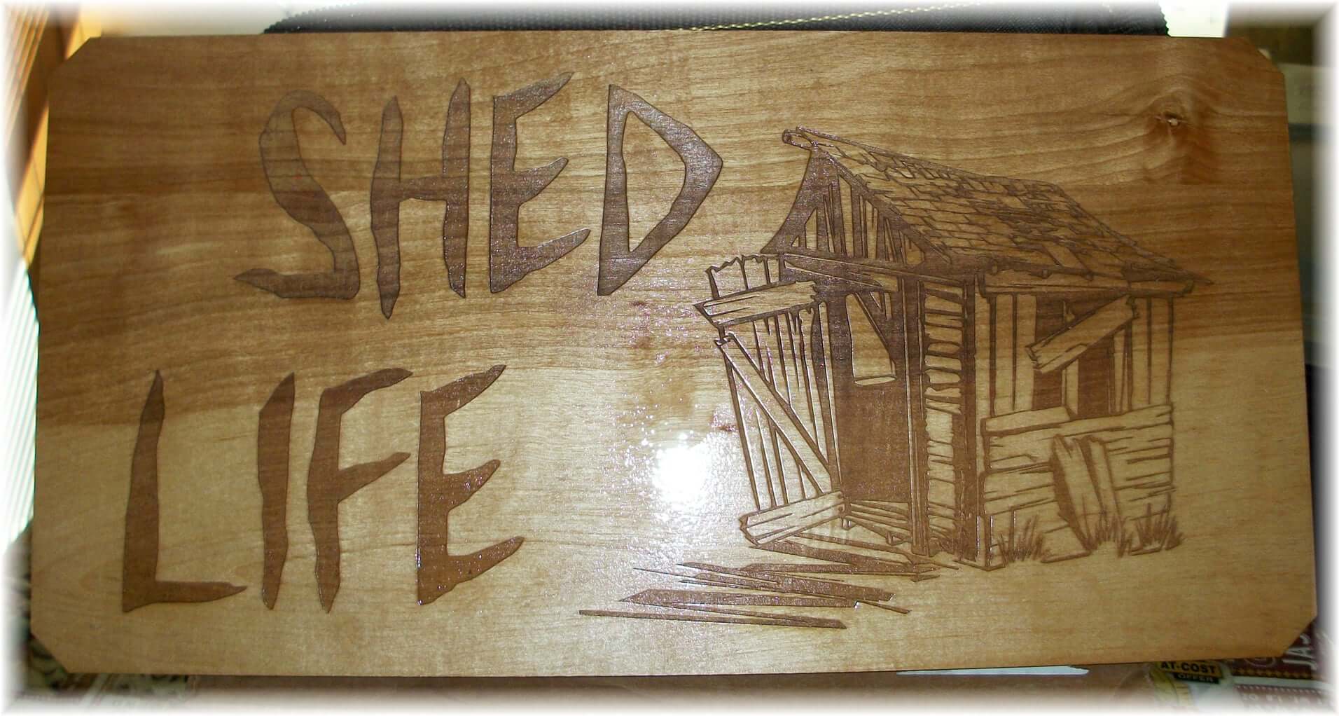 Shed Life